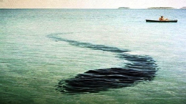 The Hook Island Sea Monster